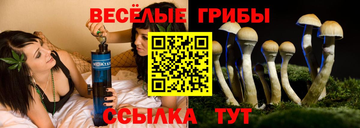 Галлюциногенные грибы прущие грибы  Вход с VPN  Мценск 